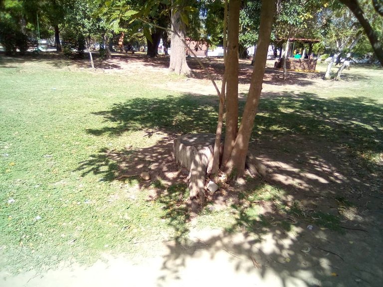 parque guaqueri (10).jpeg