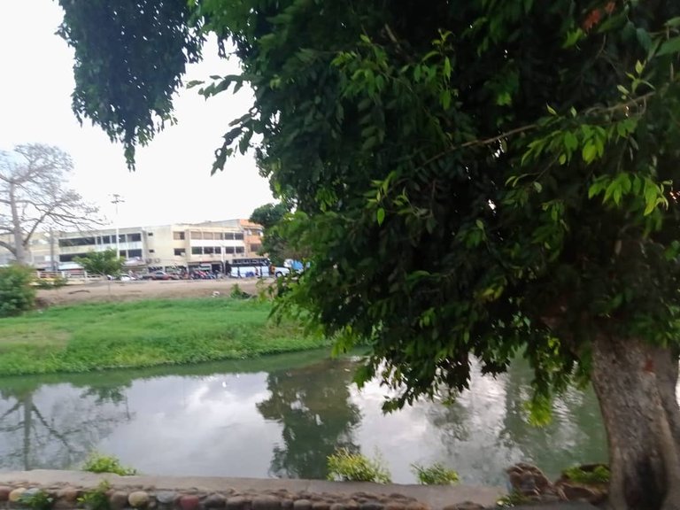 paseo vespertino parque ayacucho (8).jpeg