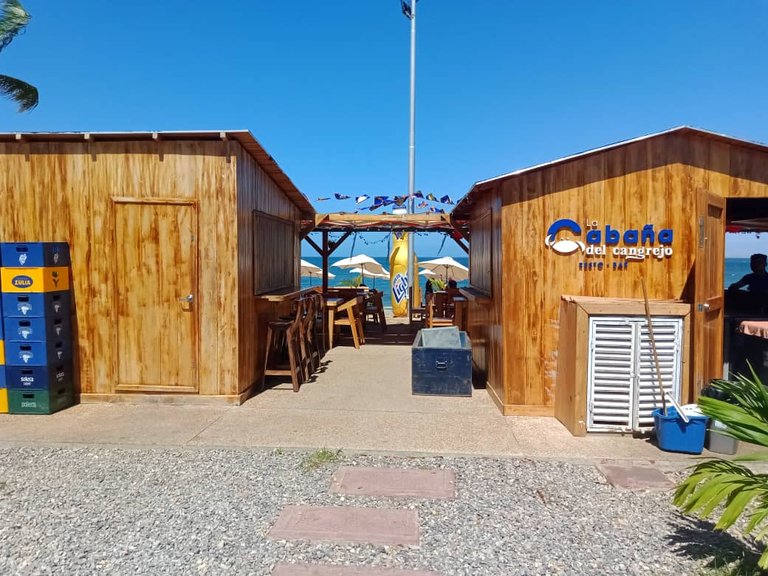cangrejo azul (11).jpeg
