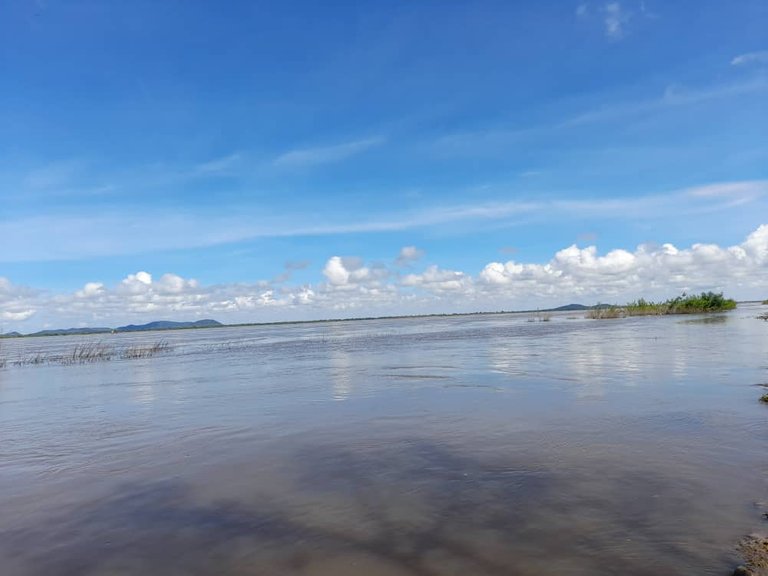 Río Orinoco (2).jpeg