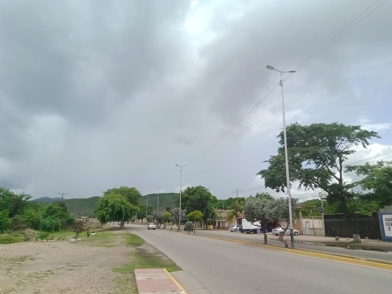 CAMPO 1 (6).jpeg