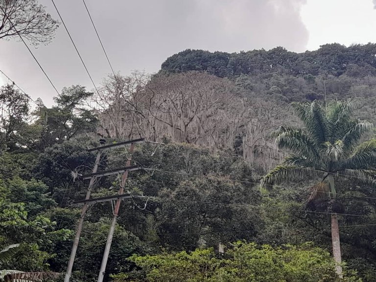 salto la páila (9).jpeg