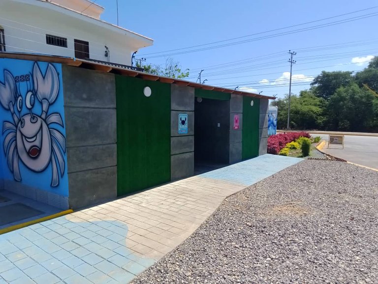 cangrejo azul (6).jpeg