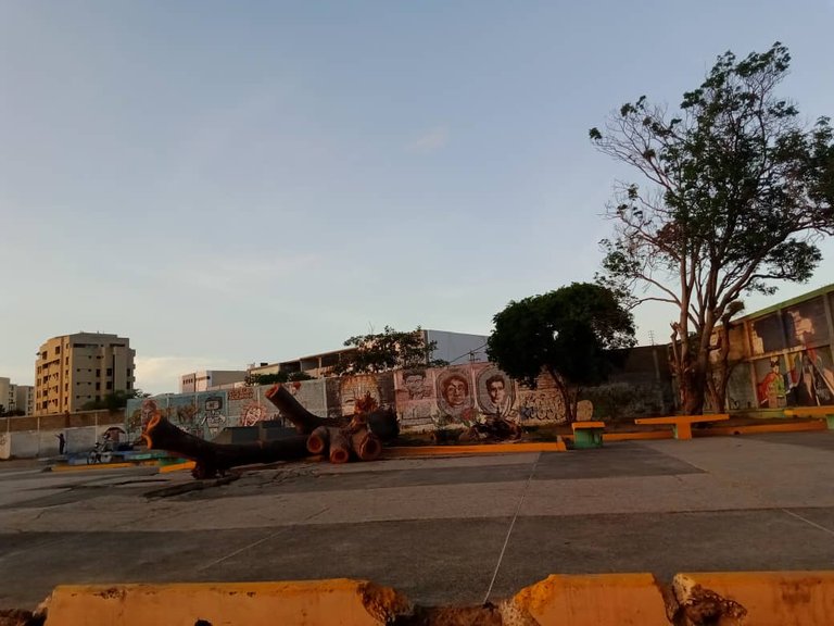murales skateboard (2).jpeg