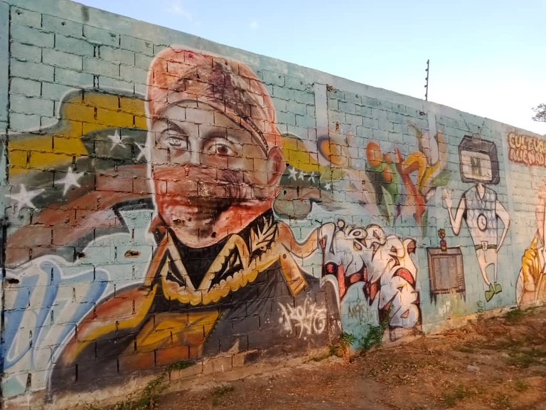 murales skateboard (16).jpeg