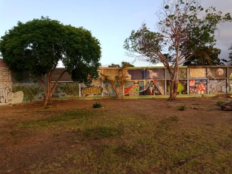murales skateboard (6).jpeg