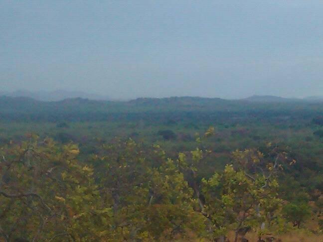 ORINOCO,PAN DEAZUCAR, CAICARITA,  PASO GABARRA (10).jpg