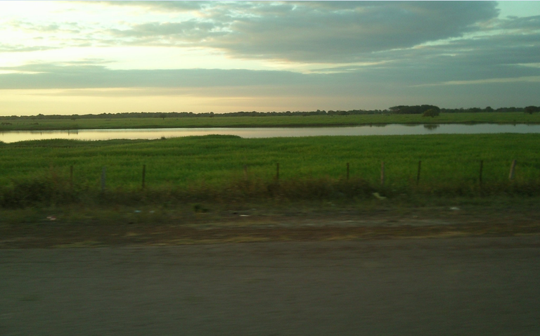 llano5.png