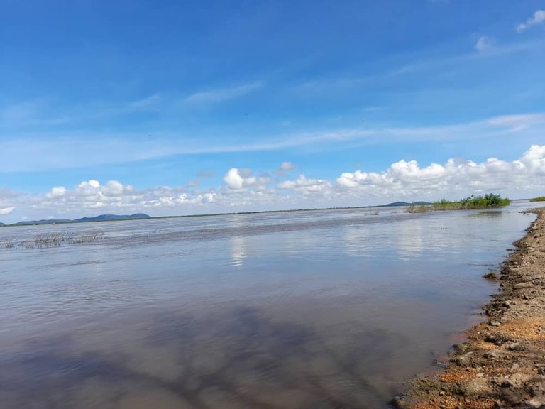 Río Orinoco (11).jpeg