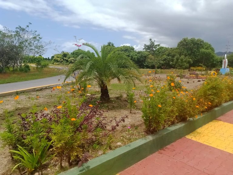 plaza yo amo a Sucre (10).jpeg