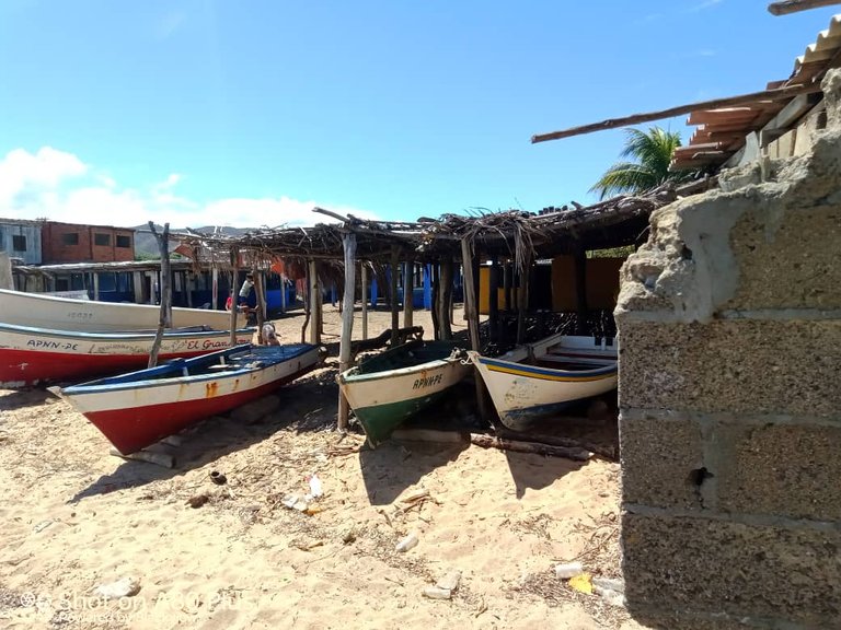 botes en la playa (11).jpeg