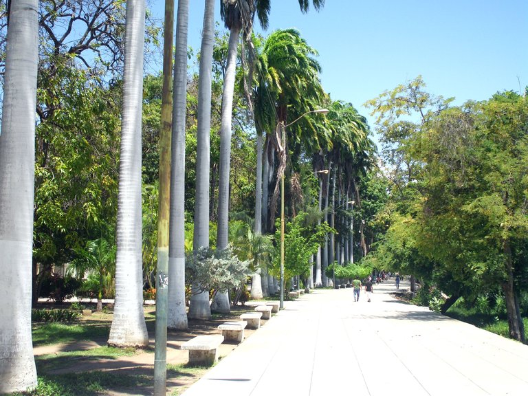 RECORRIDO CENTRO CUMANÁ (6).JPG