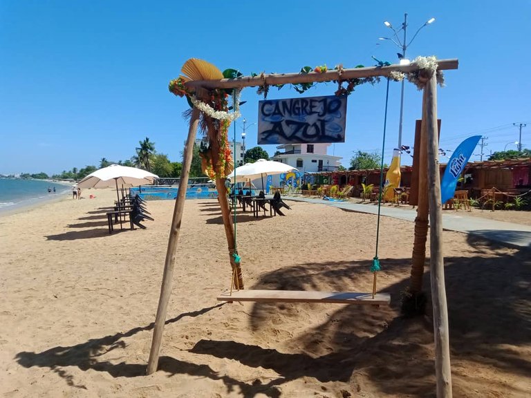 cangrejo azul (27).jpeg