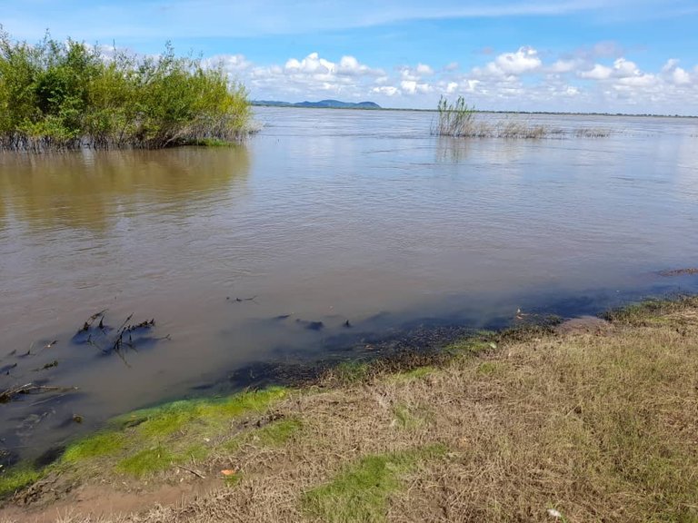 Río Orinoco (17).jpeg