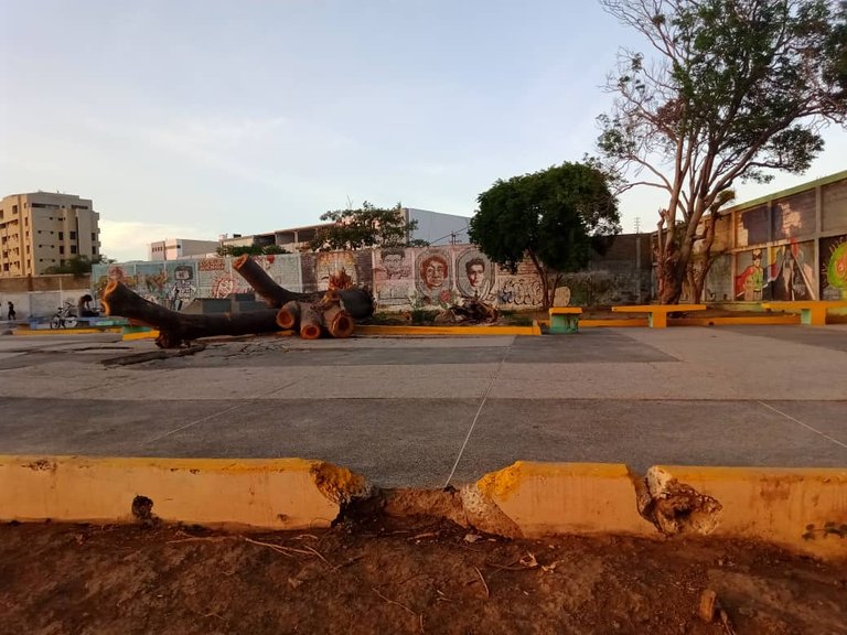 murales skateboard (9).jpeg