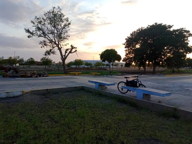 murales skateboard (14).jpeg