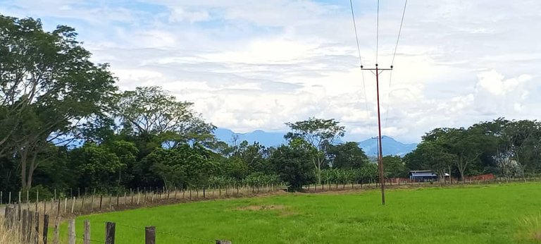 el nula (4).jpeg