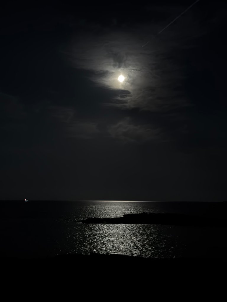 IMG_4472.jpeg