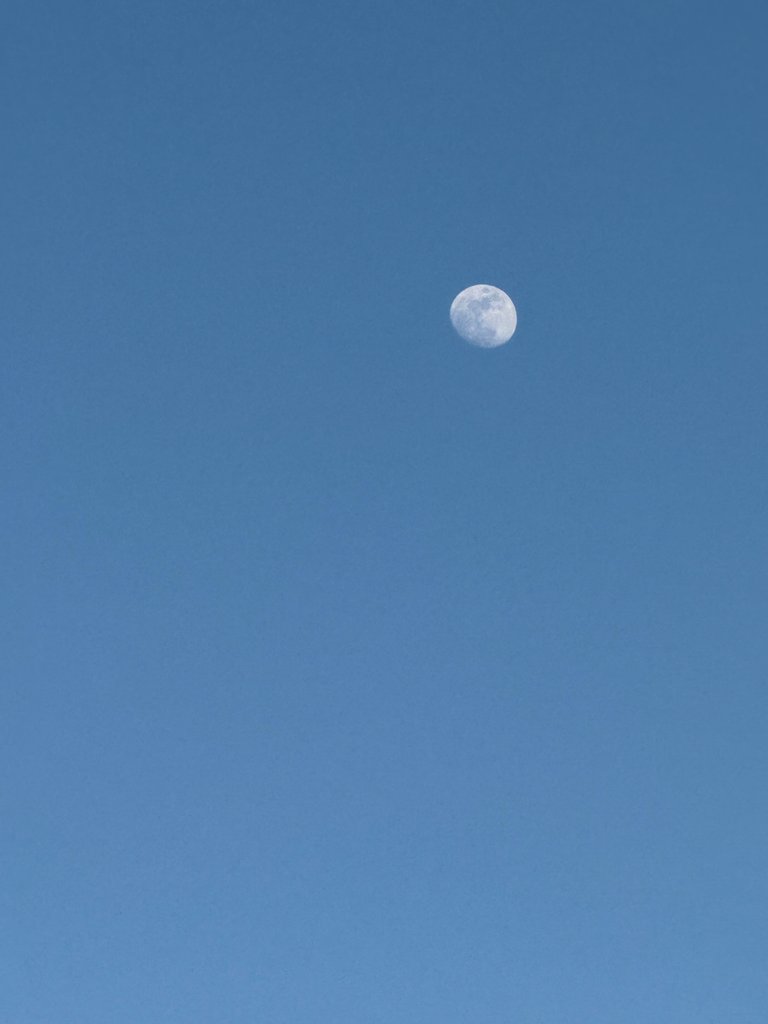 IMG_9630.jpeg