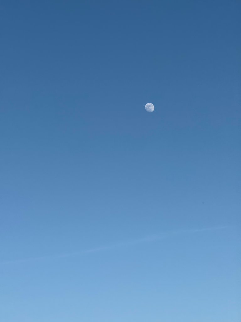 IMG_9606.jpeg