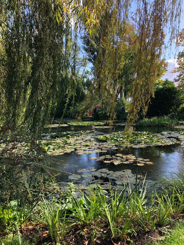 IMG_0697.jpeg