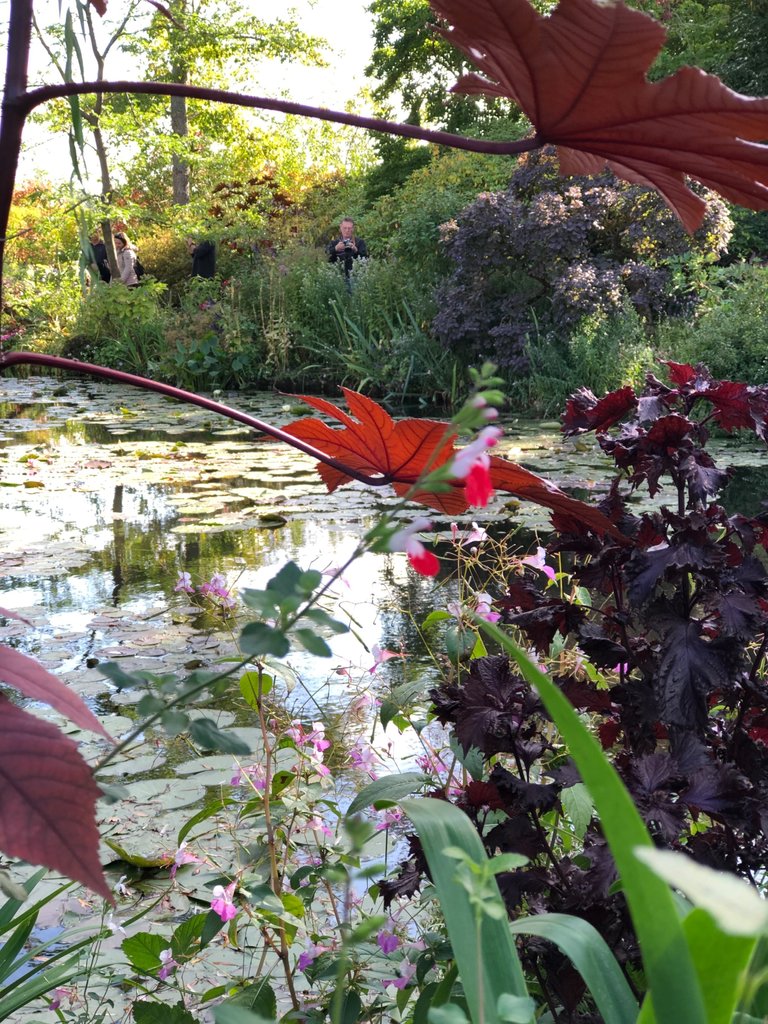 IMG_0695.jpeg