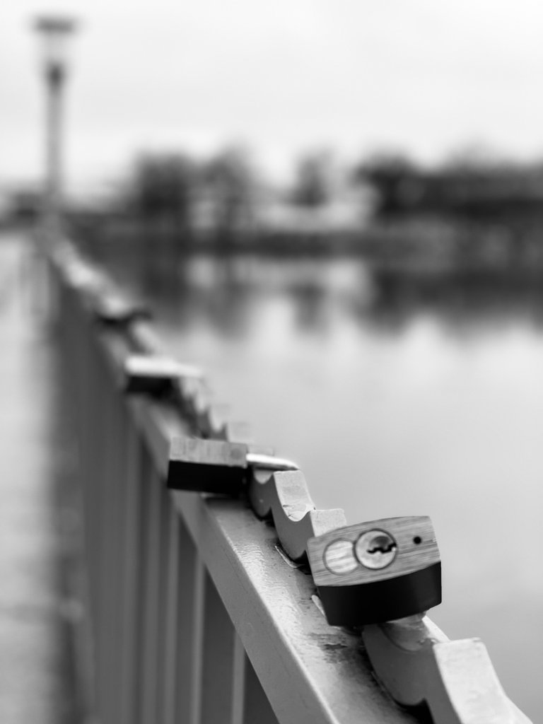 F8DFFFA5-54A2-41D5-A050-7B37CDC0D55C.jpeg