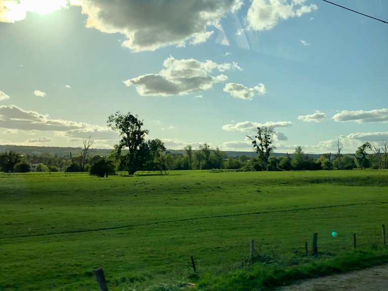 IMG_0848.jpeg