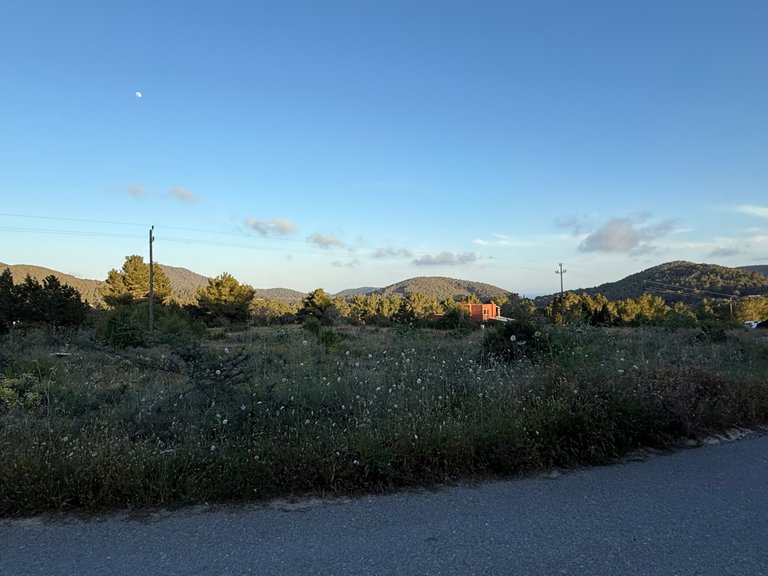 IMG_9616.jpeg