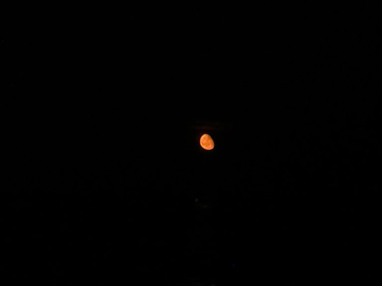 IMG_4584.jpeg