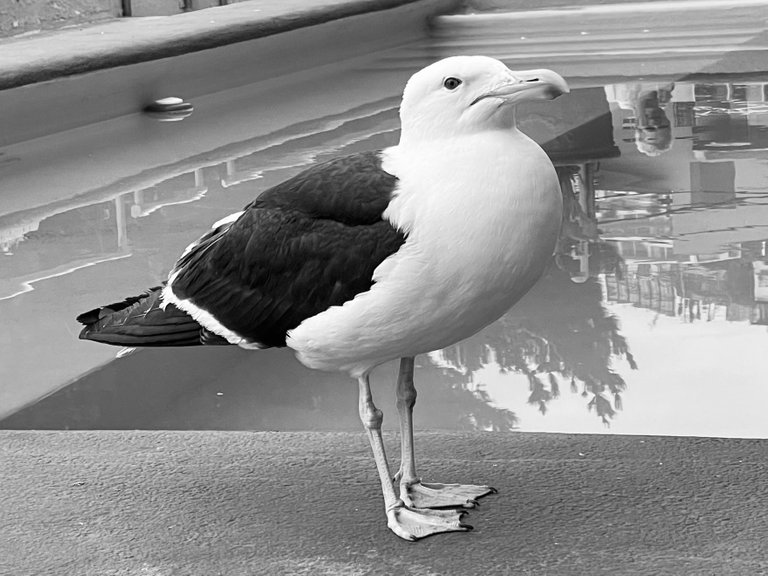 CDC274EA-8C45-4B9D-93B9-1EA379646D1F.jpeg