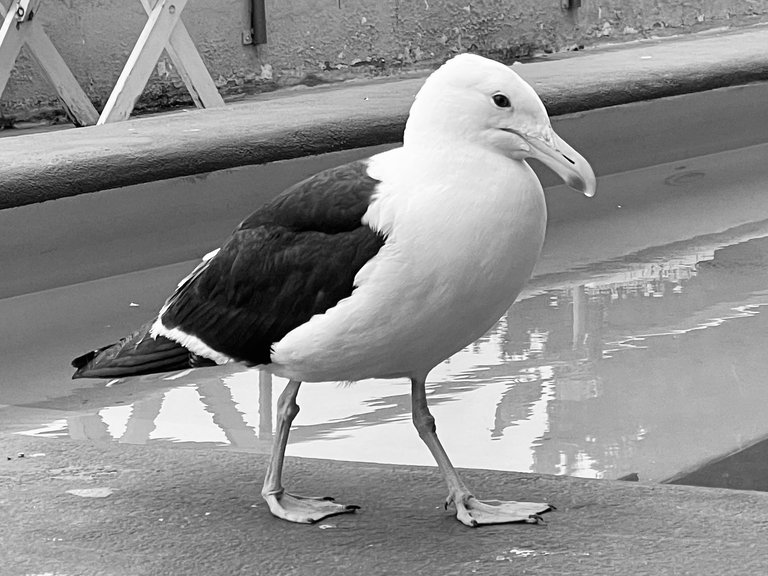 0792D09B-5761-4345-8772-C35B54255126.jpeg