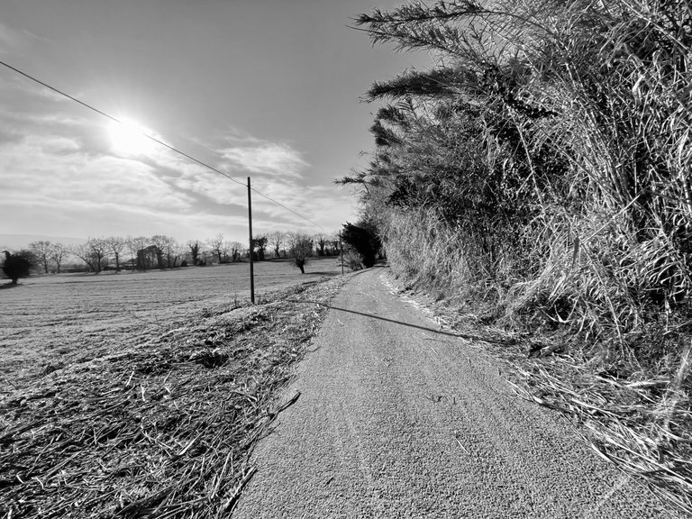 IMG_1739.jpeg