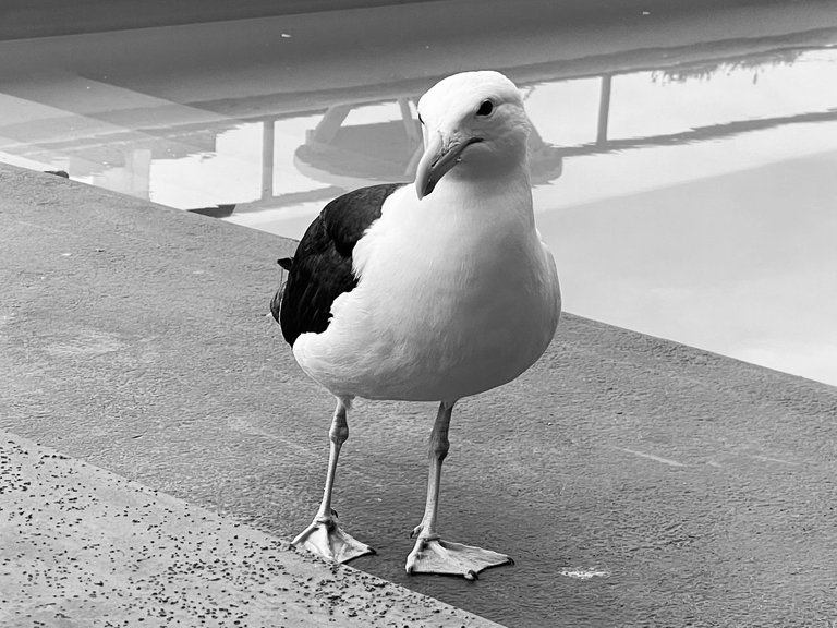 F0E914E4-4D26-471D-A275-96A2B3F79314.jpeg