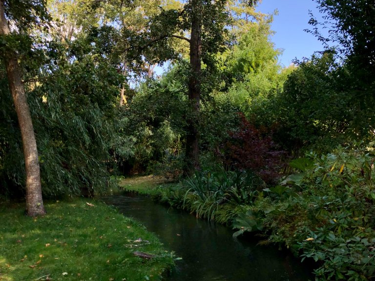 IMG_0735.jpeg