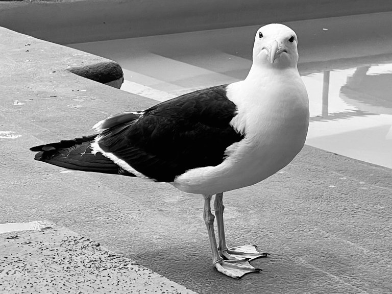 13C671B8-57DD-4B11-8026-B8BF0C828E01.jpeg