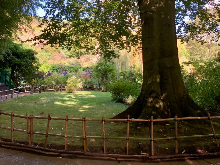 IMG_0677.jpeg