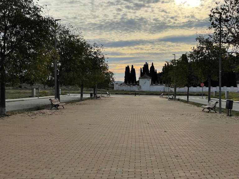 IMG_8592.jpeg