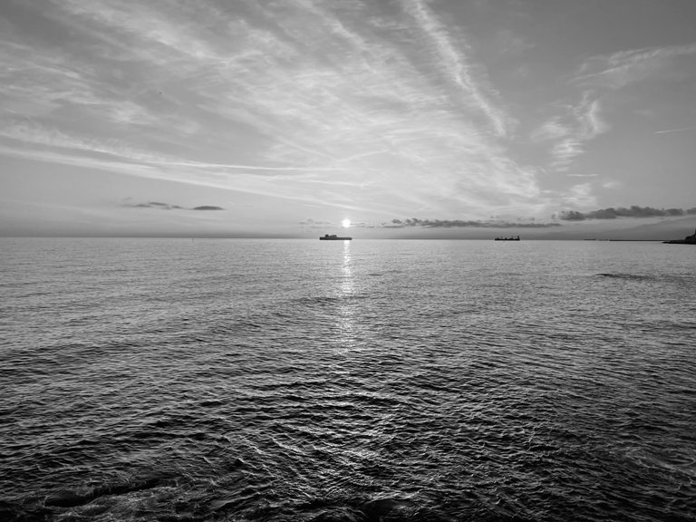 IMG_4051.jpeg