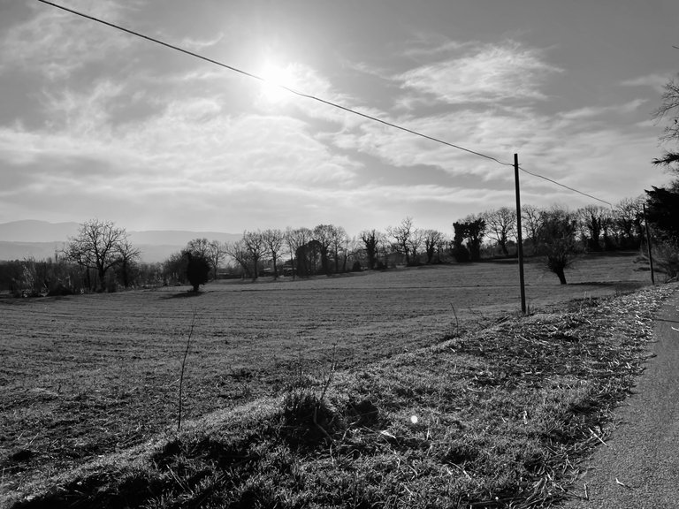 IMG_1738.jpeg