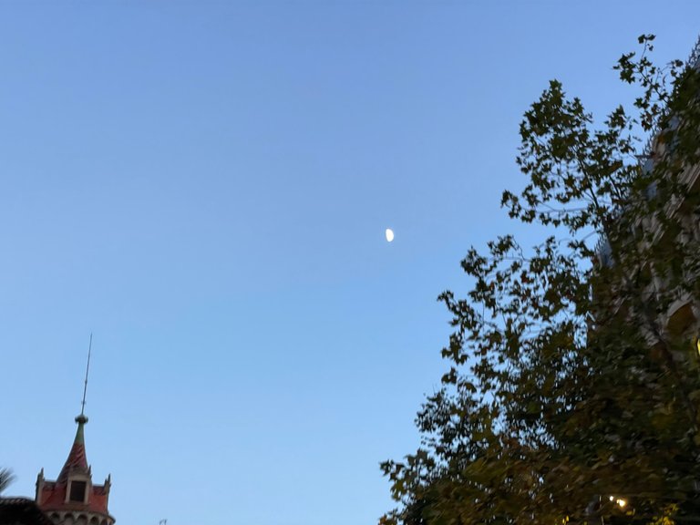 IMG_7549.jpeg