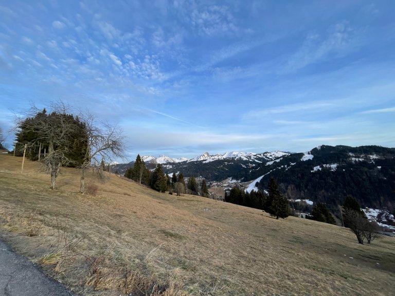 IMG_5701.jpeg