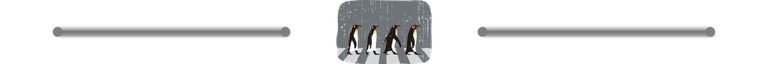 penguin walk.png