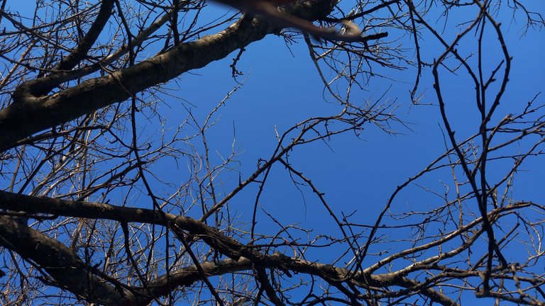 20231227_100856.jpg