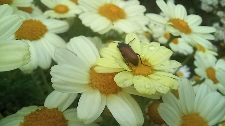 20250518_101300.jpg