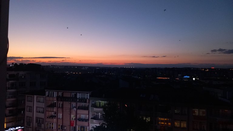 20250517_204451.jpg