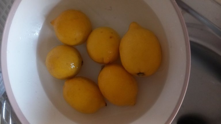20250527_184620.jpg