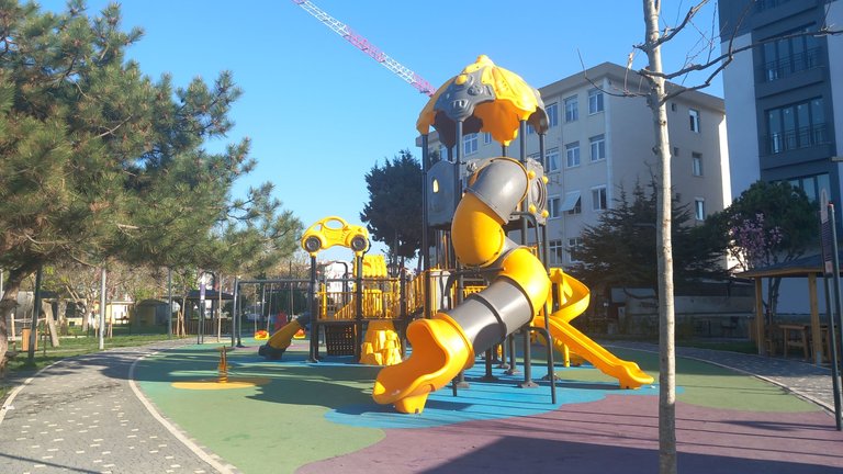 20240415_082325.jpg