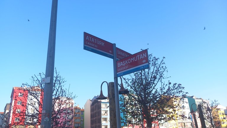 20240415_074020.jpg