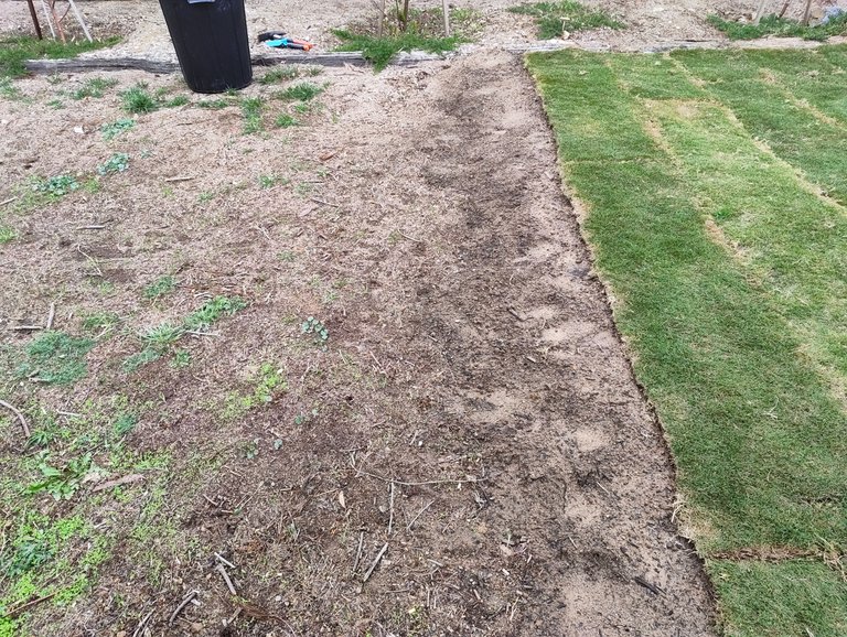 Strawberries and the Lawn Slog.jpg